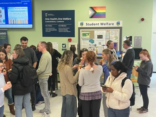 Staff and students gather in the UCD Veterinary Medicine foyer for a Pride event, chatting and enjoying refreshments. A Progress Pride flag and student welfare posters are visible in the background.